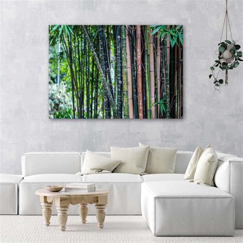 Sansibar Home Leinwandbild Bamboo Forest Green Wayfair De