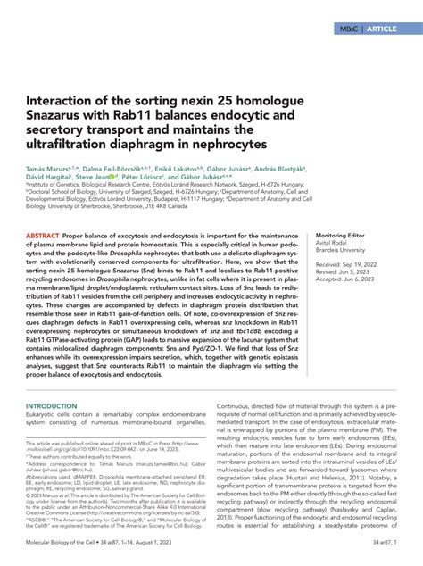 PDF Interaction Of The Sorting Nexin 25 Homolog Snazarus With Rab11