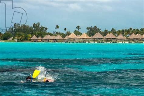 Dive In Front Of Overwater Bungalows Of Hilton Bora Bora Nui Resort