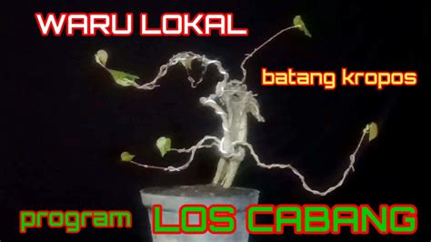 Program Los Cabang Waru Lokal Batang Kropos Youtube