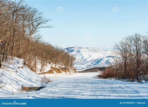 Estrada Coberta De Neve Entre A Floresta Montanhosa Imagem De Stock