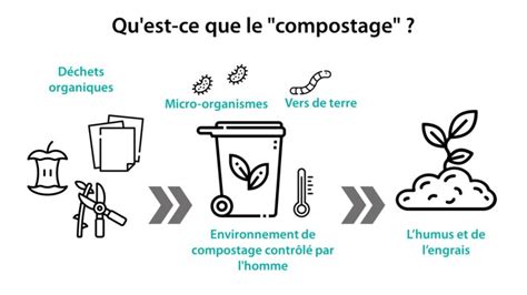 Diff Rences Entre Le Compostage Industriel Et Le Compostage Domestique