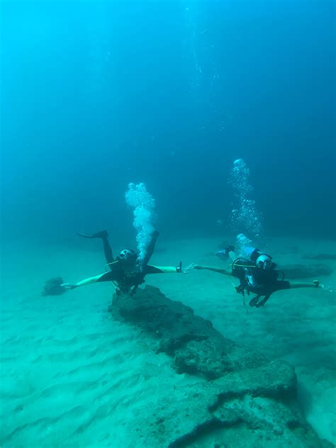 Scuba Diving In Cabo Pulmo | Diving & Chillin'