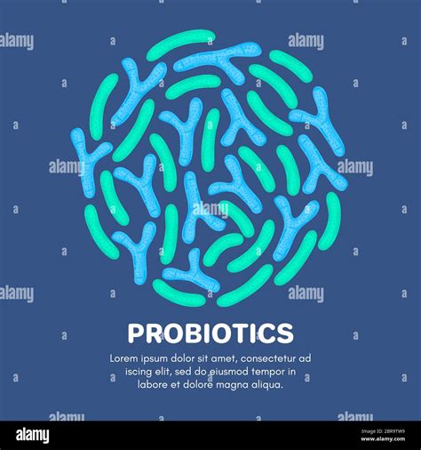 Vector Probiotics In Circular Shape Bifidobacterium Lactobacillus