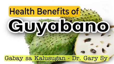 Guyabano Health Benefits Dr Gary Sy Youtube