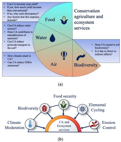 Conservation Agriculture As A System To Enhance Ecosystem Services