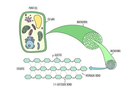 Plant Fibers for Environmentally Friendly Devices - Assignment Point