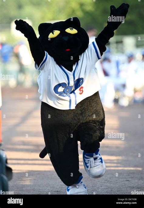 June 30, 2011 - Fort Worth, Texas, U.S - Fort Worth Cats mascot, Dodger, in action during the ...