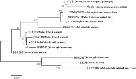 Figure 1 From Genotyping By Sequencing Based Single Nucleotide