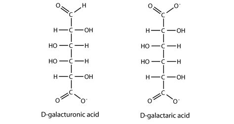 Diagram Of Monosaccharides