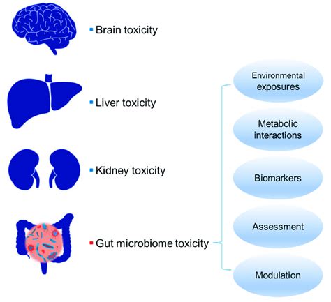 A potential new member of the organ toxicity family: gut microbiome... | Download Scientific Diagram