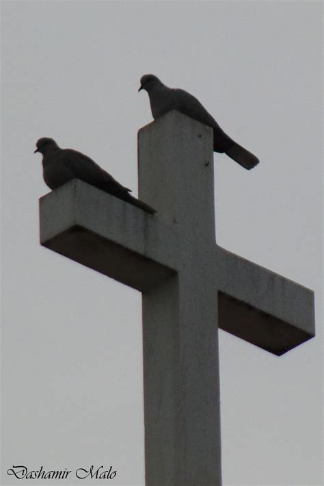 tessera poihmata toy dashamir malo metafrash eyh polymerh kai katina