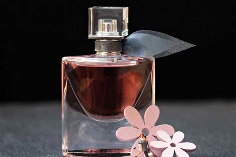 C Mo Se Hacen Los Perfumes Blog Sam Parfums