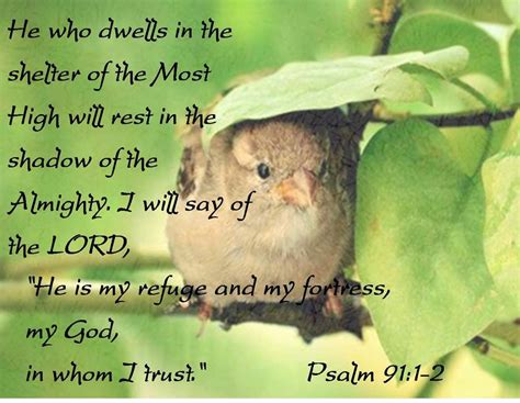 Psalm 911 2 Psalms Psalm 91 Shadow Of The Almighty