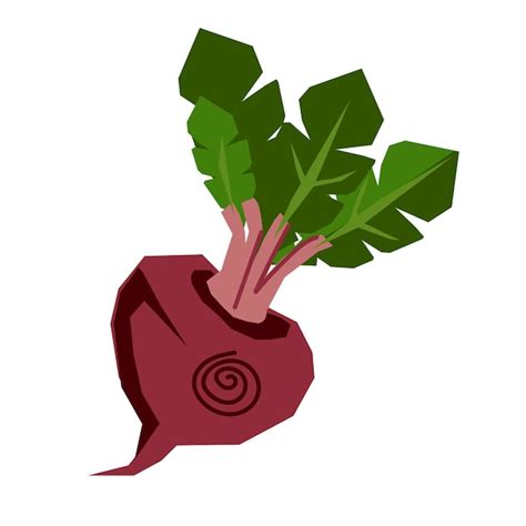 Premium Vector Beetroot With Leaves Single Icon In Decorative Style