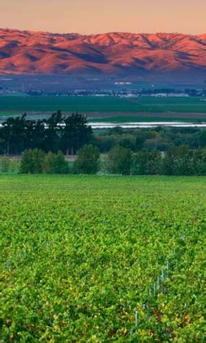 Salinas Valley CA | Wine Country, Wineries, Hotels