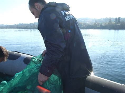 Pol Cia Mar Tima Apreende Redes Ilegais De Captura De Meix O No Rio Douro