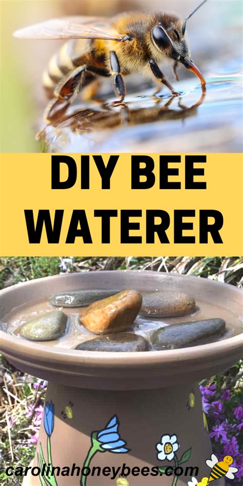 How To Make A Bee Watering Station Carolina Honeybees Bee Friendly