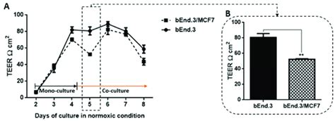 Transendothelial Electrical Resistance Teer Of Bend Monolayers