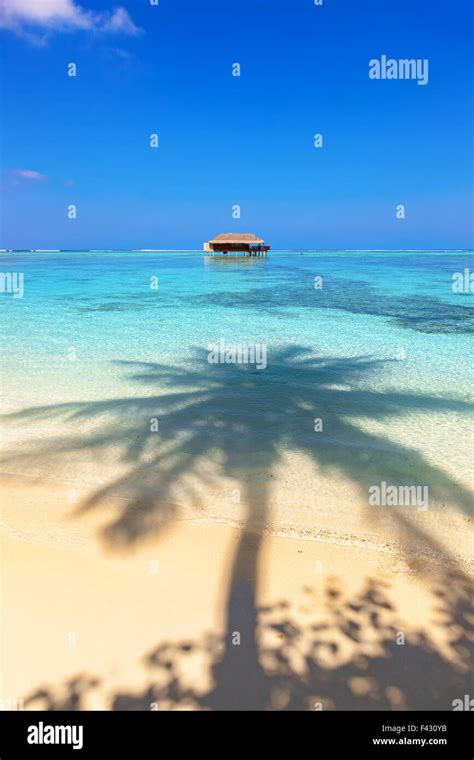 Tropical Maldives island Stock Photo - Alamy