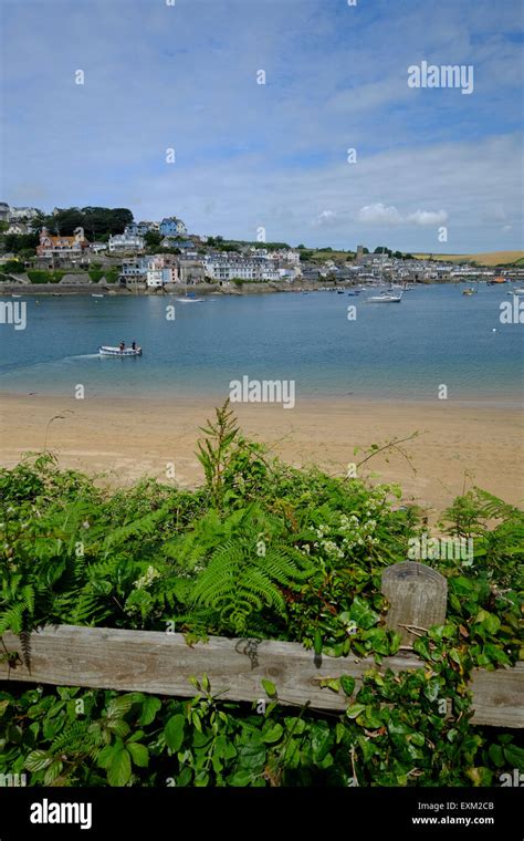 Salcombe devon beach hi-res stock photography and images - Alamy