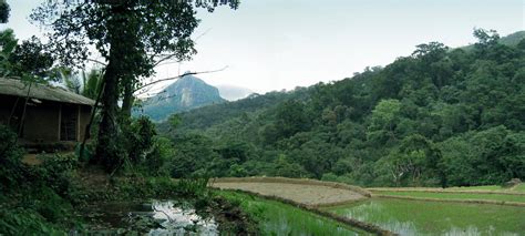 Traditional Village - Sri Lanka - India Travel Forum | IndiaMike.com