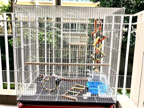 Budgie Cage Lovebird Cage Big Size Pet Supplies Homes Other Pet