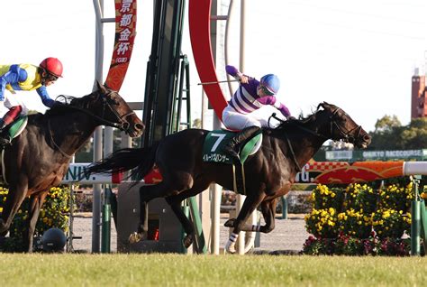 【京都金杯】5番人気のイルーシヴパンサーが重賞2勝目を飾る 競馬ニュース Netkeiba