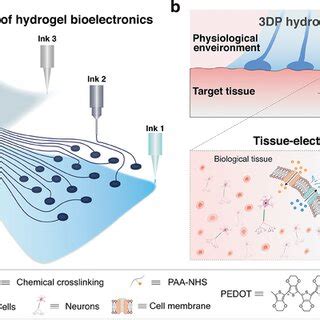 D Printed Implantable Hydrogel Bioelectronics For Electrophysiological