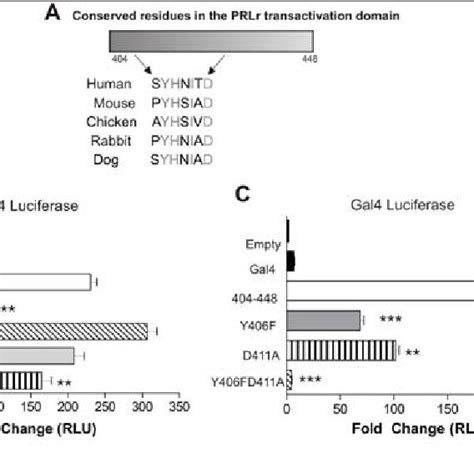 Y406fd411a Abrogates Gal4 Transactivation A Sequence Analysis Of The Download Scientific