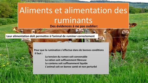 Aliments Et Alimentation Des Ruminants Ppt Télécharger