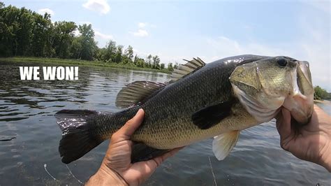 Potomac River Bass Fishing Fishers Of Men Tournament Win Youtube