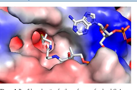 The Acyl CoA Specificity Of Human Lysine Acetyltransferase KAT2A