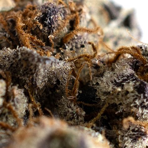 Spanish Fly - Skookum Cannabis