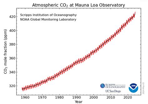 Atmospheric Carbon Dioxide Increasing At Record Rates, NOAA Finds