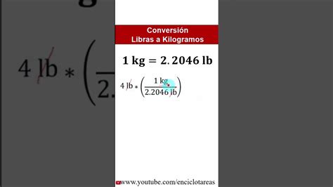 Conversión De Libras A Kilogramos Lb A Kg Parte 1 Youtube