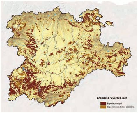 Educaci N Forestal Mapas De Vegetaci N De Castilla Y Le N