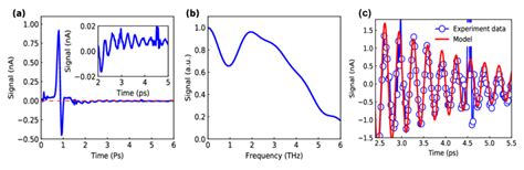 A A Pump Probe Signal With A Longer Tail And B Its Corresponding