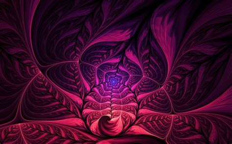 Pink Purple Flowers Fractal Shapes Pattern Hd Abstract Wallpapers Hd