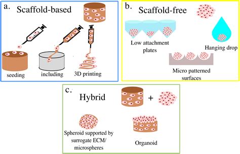 Non Destructive Monitoring Of 3d Cell Cultures New Technologies And Applications [peerj]