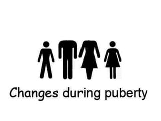 Puberty Disorders PPT