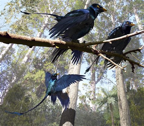 Art Of Emily Willoughby The Many Meals Of Microraptor