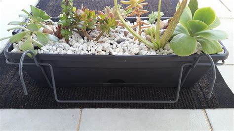 Succulent and Cactus Arrangement - Balcony Planter Box - Succulent Gift