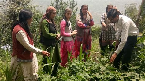 Sustainable Future Women In Himachal Pradesh Are Emerging As Leader Of