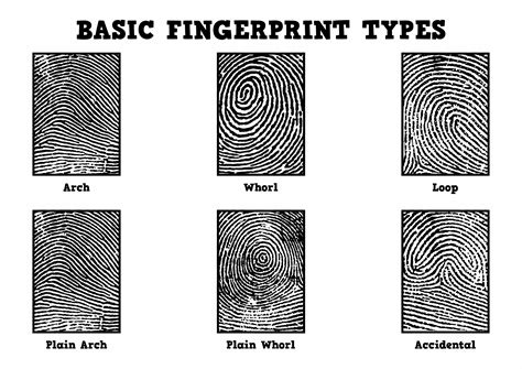 14 Fingerprint Detective Worksheet Free Pdf At