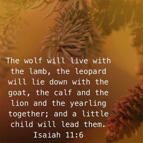 Isaiah 116 The Wolf Will Live With The Lamb The Leopard Will Lie Down