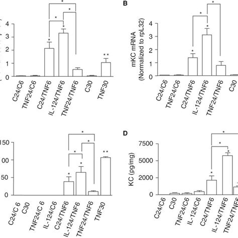 Interleukin Il 1β Enhances Tumor Necrosis Factor Tnf α Mediated