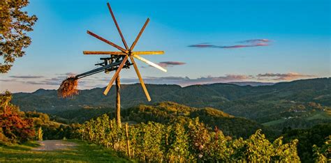 Guide to Slovenian Wine