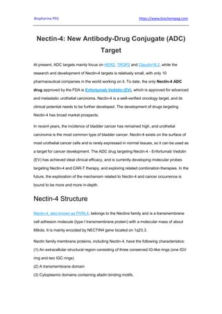 Nectin 4 New Antibody Drug Conjugate ADC Target Pdf