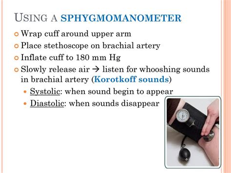 Warm Up What Is The Pacemaker Where Is It Located Ppt Download